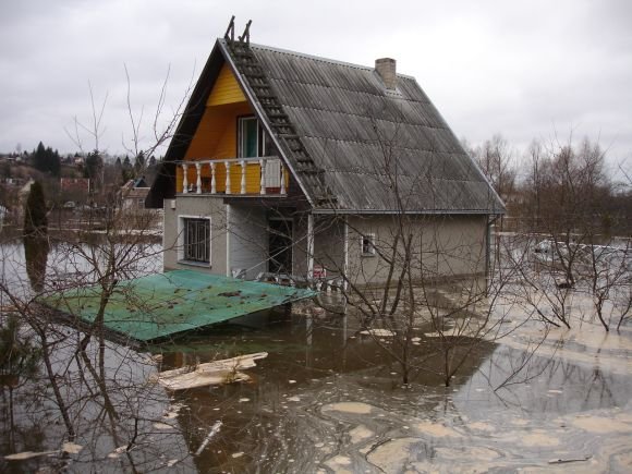 Potvynis