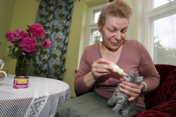 Užmuštos katės jaunikliais, kuriems dar būtina nuolatinė priežiūra, šiuo metu pakaitomis rūpinasi visa Irenos šeima. Nuotraukoje – jos sesuo Raimonda, padedanti maitinti jauniklius. 
