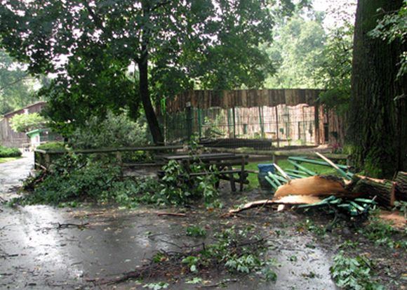Lietuvos zoologijos sodo nuotr./Vėtros padariniai Kauno zoologijos sode