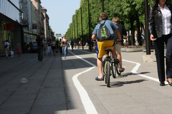 Dviračių takas Laisvės alėjoje