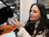 Aliaus Koroliovo nuotr./Gyvūnų globėjų asociacijos narė D.Vaitkevičienė neabejoja, kad esamas agresyvių &scaron;unų laikymo ir kitas susijusias taisykles reikia keisti, ai&scaron;kiau apibrėžiant kontroliuojančių institucijų funkcijas ir griežtinant &scaron;unų &scaron;eimininkų atsakomybę. 