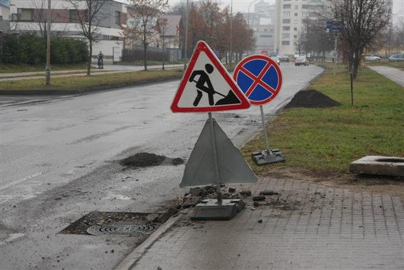 Tvarkant miesto gatves, savivaldybė planuoja į pagalbą pasitelkti mokslininkus.