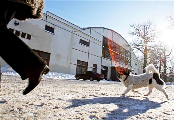 Koks likimas laukia svarbiausius klientus prarasiančios Kauno sporto halės, turėtų paaiškėti dar šiais metais. 