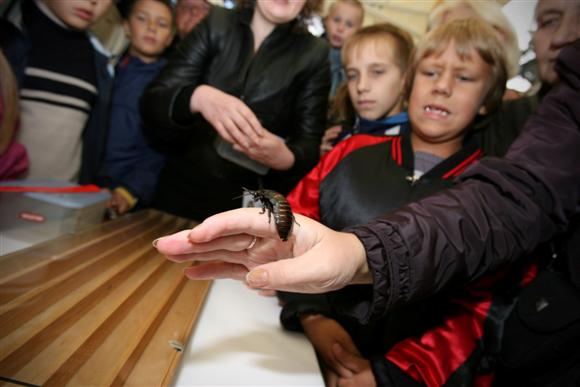 Nors tarakonų lenktynės nepaliko abejingų, didžiuliai vabzdžiai kai kuriems zoologijos sodo lankytojams paliko ne patį maloniausią įspūdį.