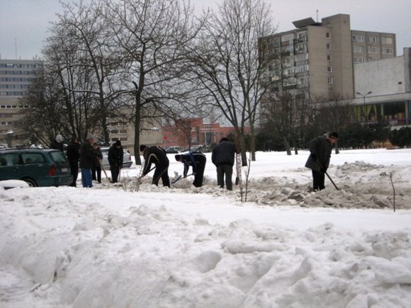 Kiemus klaipėdiečiai uoliai kasė praėjusį šeštadienį. 
