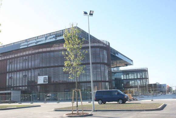Jau pradėtas baigiamasis arenos statybos darbų etapas.
