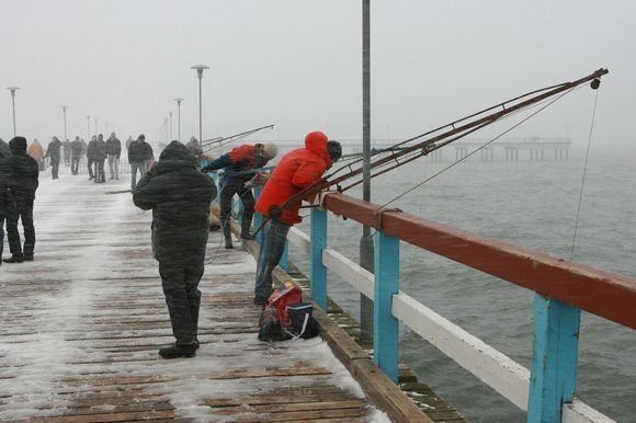 Žvejai jau treniruojasi stintų gaudymo rungčiai. 