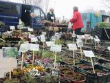 Klaipėdoje prasidėjo mugė „Pavasario spalvos“