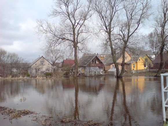 Žymė Kretinga