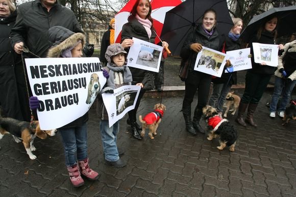 „Lesės“ savanorės pilietinės akcijos metu