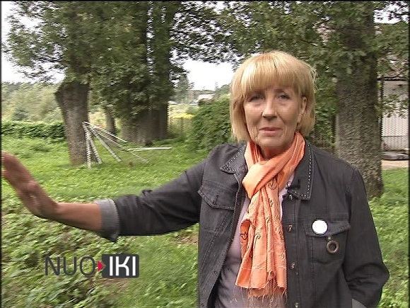 D.Teišerskytė.