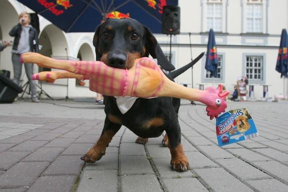 Žymė Taksas