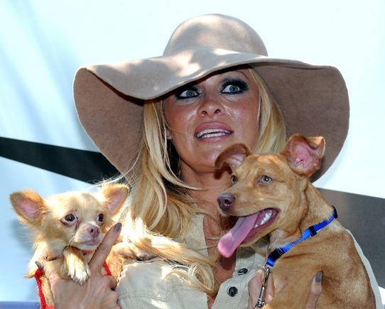 Pamela Anderson