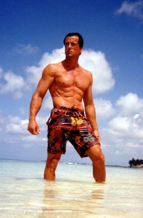 AOP nuotrauka/Sylvesteris Stallone 
