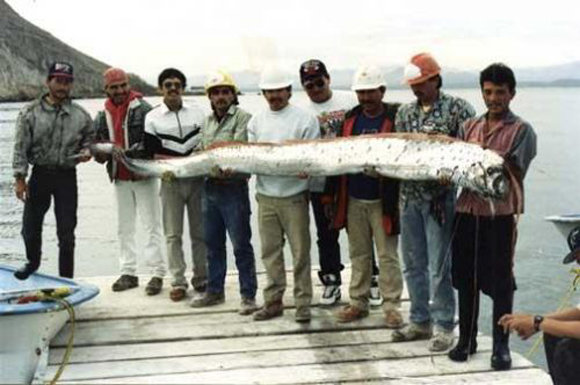 Silkiu karalius
