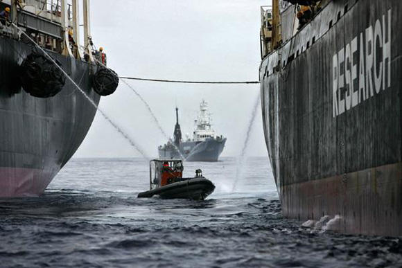 Greenpeace