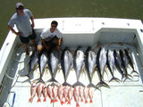 Tunas2
