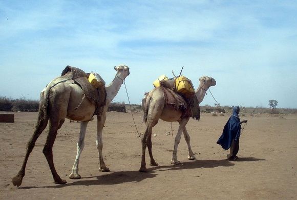 Žymė Somalis