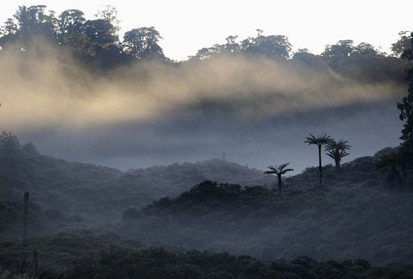 AFP/„Scanpix“ nuotr./Papua Naujoji Gvinėja