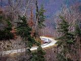 AFP/„Scanpix“ nuotr./WRC. Monte Karlo ralis