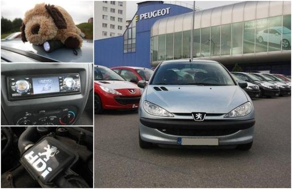 Garažas: Gedimino „Peugeot 206“
