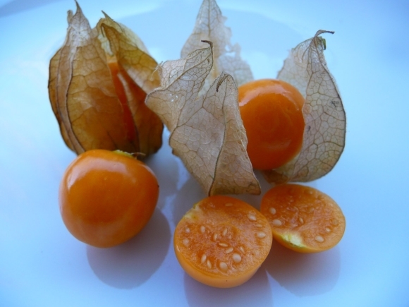 Dumplainis