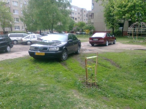 Žolytės mėgėjas