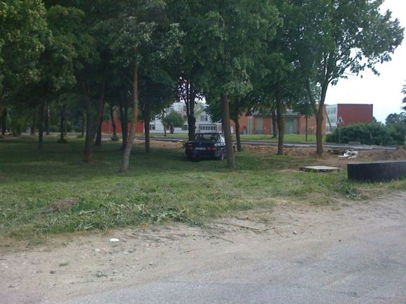 „Mercedes“ ant žolės giraitėje