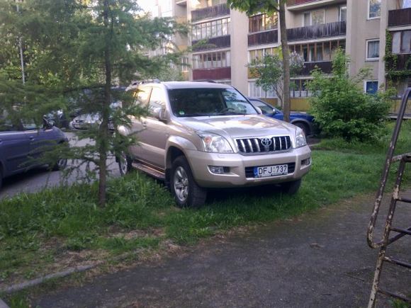 „Toyota Land Cruiser“ ant žolytės