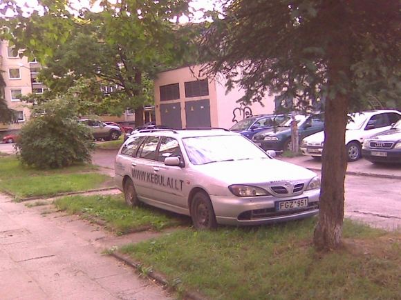 „Nissan Primera“ ant pievutės