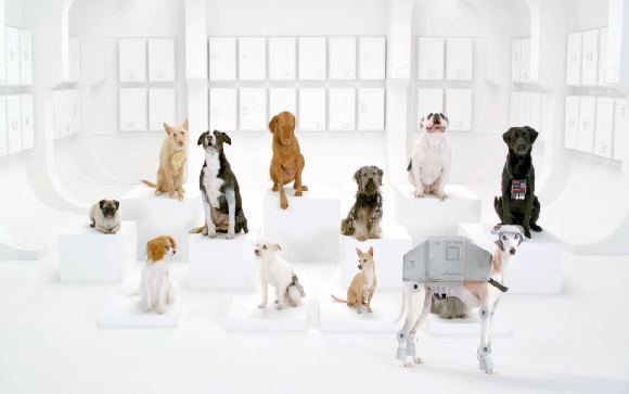 „Volkswagen“ reklamos „The Bark Side“ akimirka