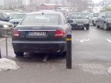 Pirmieji pavasariniai ereliai