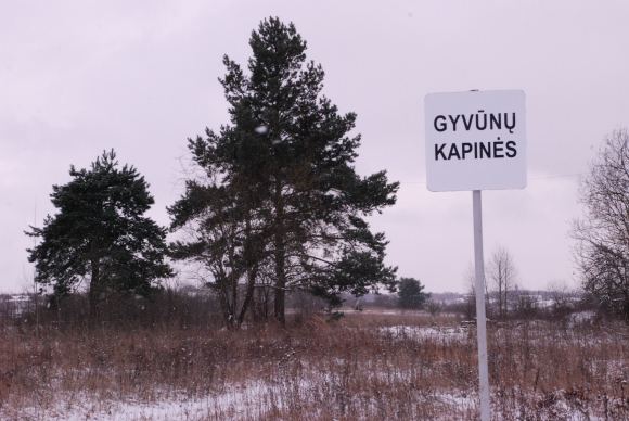 Gyvūnų kapinės