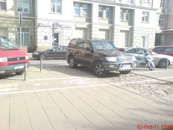 Asta Baukutė automobilį pasistatė neleistinai