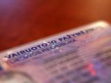 Vairuotojo pažymėjimų klastotojai lengvatikių ieško internete