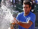 Juanas Martinas del Potro apgynė titulą Portugalijoje