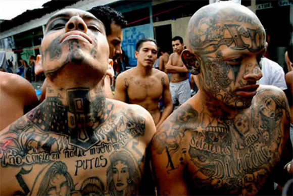 MS-13 gaujos nariai