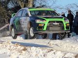 Egidijaus Babelio nuotr./„Halls Winter Rally“ lenktyni? akimirka