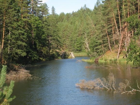 G.Statinio nuotr./Vaizdai važiuojant dviračių maršrutu