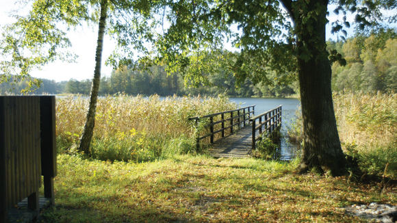Pakrantė prie Vainežerio ežero įtvirtinimų