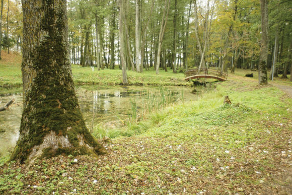 Veisiejų parke