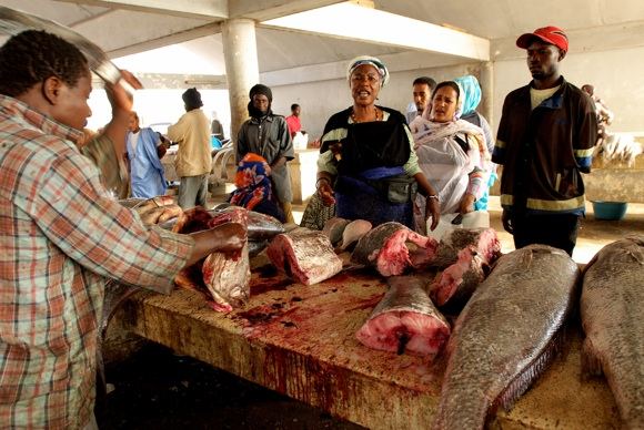 „Scanpix“ nuotr./Žuvies turgus Mauritanijos sostinėje Nafakšute
