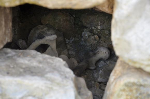 Greitgrisim.lt nuotr./Čia galima išvysti ir žmonių kaulų