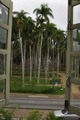 Surinamo džiunglės ir sostinė Paramaribo
