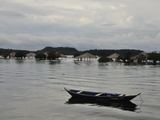 Ilgieji braziliški kruizai ir Amazonės džiunglės