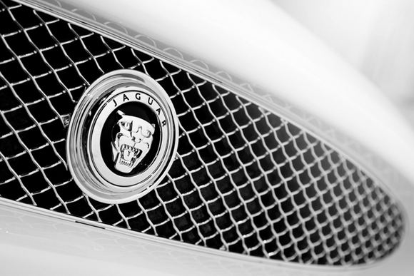 „Jaguar“