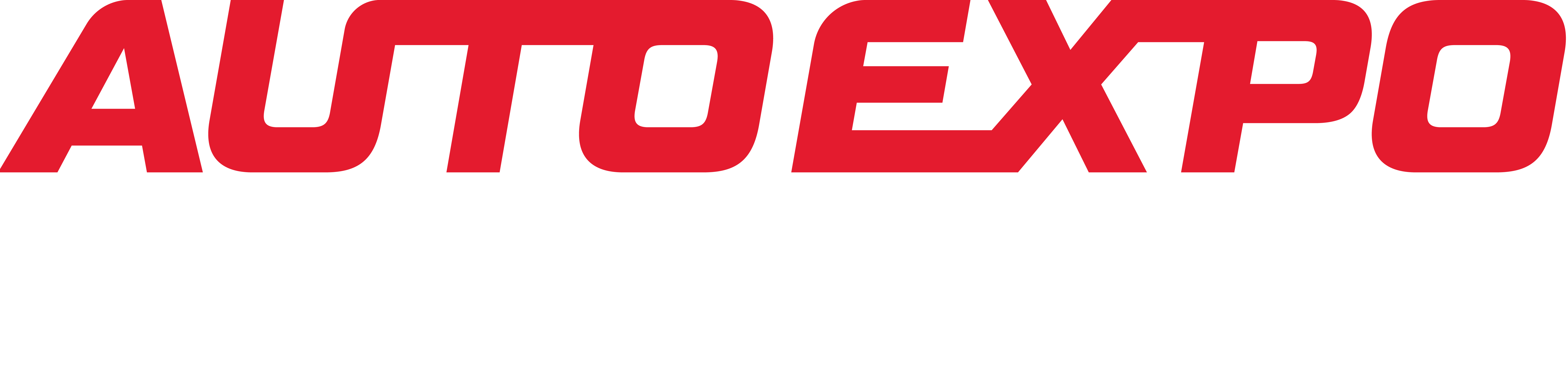 Autoexpo logo