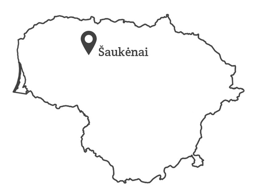 map_grey_saukenai