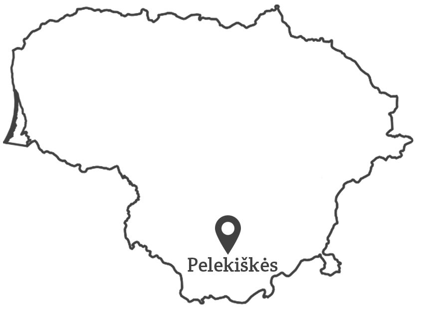 100 lietuvu - Pelekiskes
